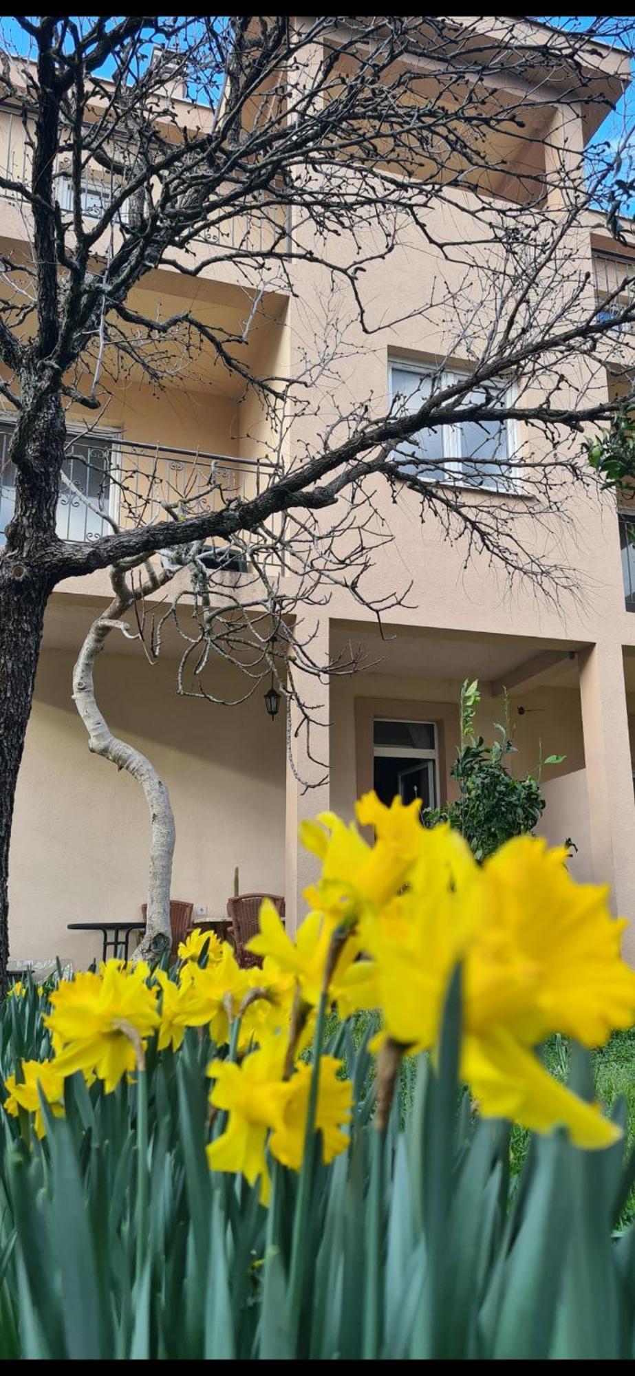 Apartamento Casa M Tivat Exterior foto